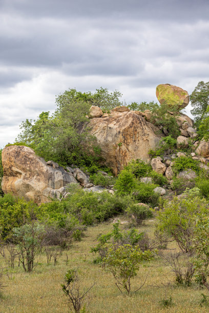 郁郁葱葱的草原上的一块大石头图片下载