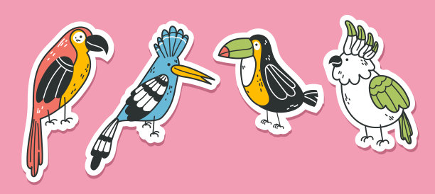 异国情调的鸟丛林鹦鹉热带夏季风格可爱的贴纸动物隔离概念集。矢量卡通平面设计元素说明图片下载