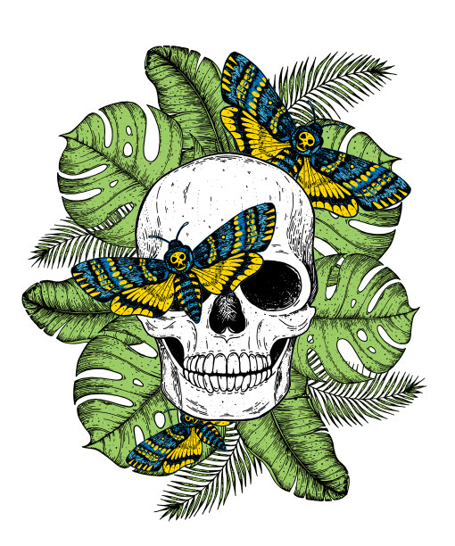 骷髅，棕榈叶和蝴蝶手绘插图。纹身的打印。蝴蝶和头骨。热带印刷设计。图片下载