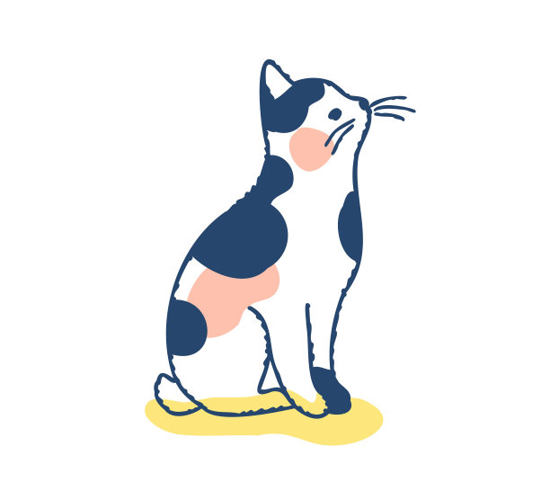 猫抬头图片下载