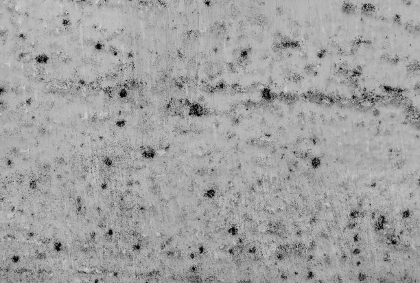 墙上有霉菌和真菌图片下载