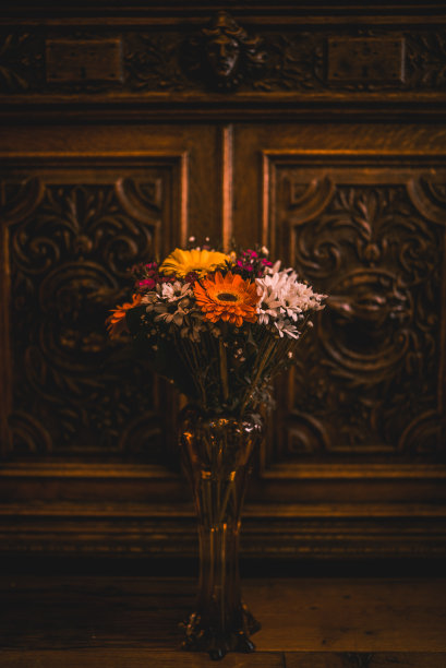 五颜六色的花在时尚的领域图片下载