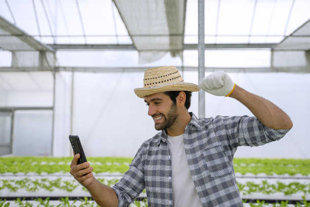 企业家在水培农场工作。温室中形成的蔬菜。图片下载