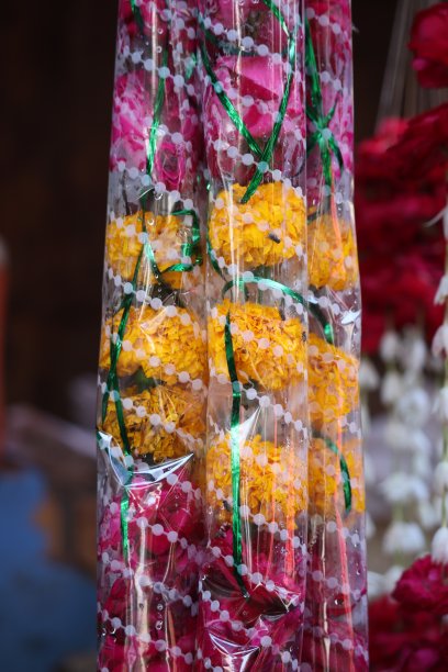 花花环图片下载