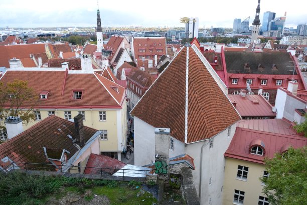 爱沙尼亚塔林老城和市中心的全景照片图片下载