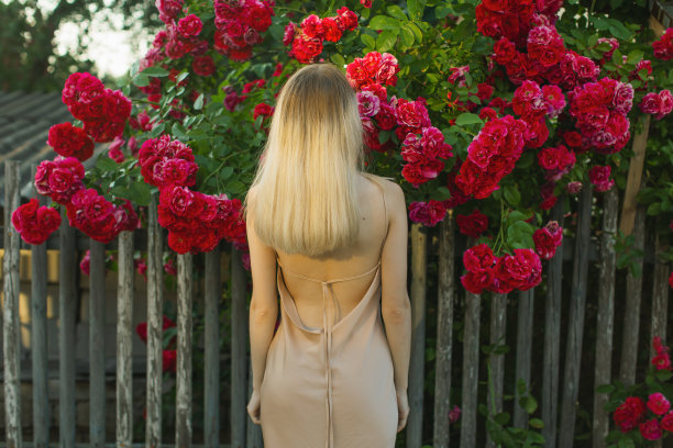 金发女人是玫瑰花园图片下载