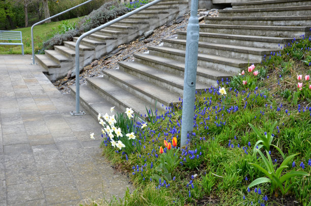 楼梯之间是一个由石头和大圆石组成的瀑布。楼梯间有瀑布的人工小溪。有球茎的草坪和花坛图片下载