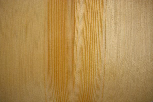 阿拉斯加锡特卡云杉颜色样本图片下载