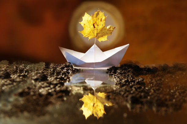 白色的纸船，黄色的枫叶在池塘图片下载
