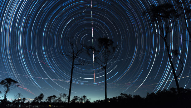 森林中松树后面的平面光迹和圆形星迹图片下载