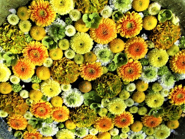 日本。4月。插花。图片下载