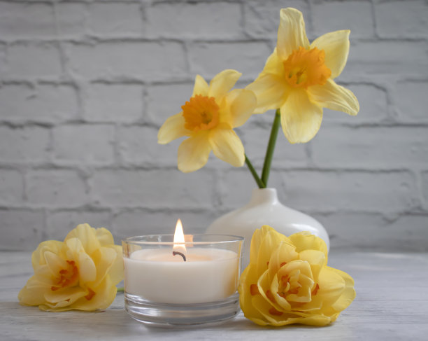 蜡烛，水仙花在一个明亮的背景图片下载