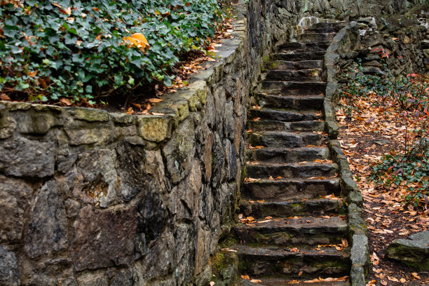 石墙旁孤零零的潮湿石阶图片下载