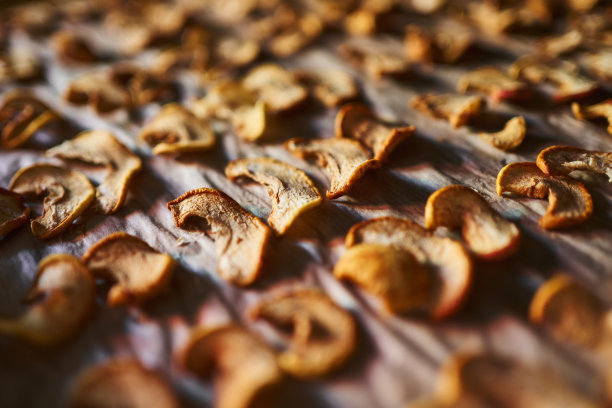 将苹果片放在烤盘上的白色烤纸上，部分模糊图片下载