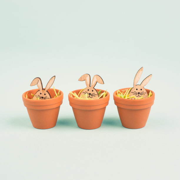 可爱的复活节兔子或兔子宝宝在花盆里，春节贺卡图片下载