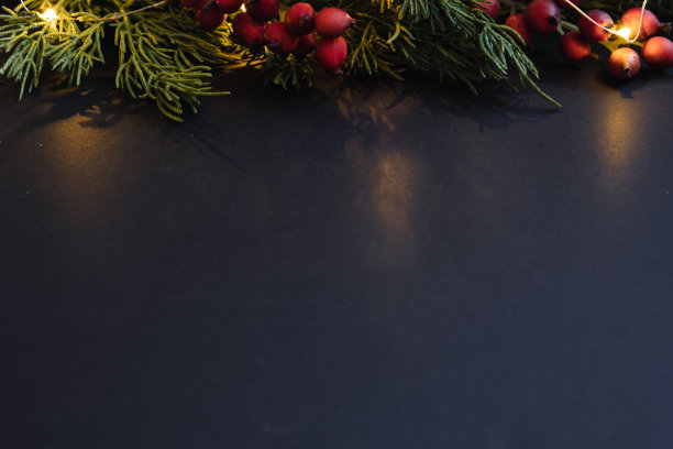 边界的浆果，常青树和灯光图片下载