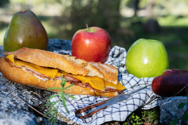 在乡下野餐，有三明治和水果图片下载