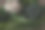 一套蔬菜，花椰菜，西兰花，甜菜和茴香图片下载