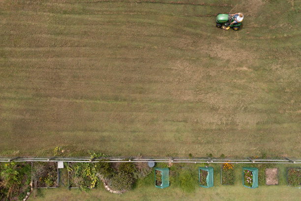 澳大利亚男子骑在割草机上割草图片下载