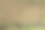 澳大利亚男子骑在割草机上割草图片下载