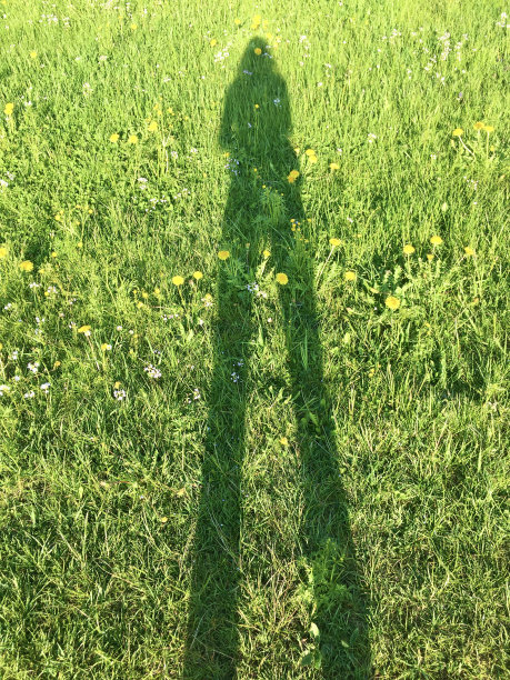 草地上一个穿裤子的女孩长长的影子。一个长腿女孩的影子。草地上有一个长腿美丽女孩的长长的影子。草地上一个摄影女孩的影子。图片下载