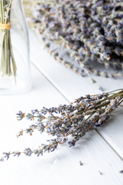 束紫罗兰丁香紫色薰衣草花排列在白色的桌子背景。图片下载