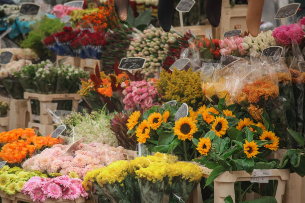 阿姆斯特丹花卉市场上的一大堆鲜花。大量的花束和花瓣。图片下载