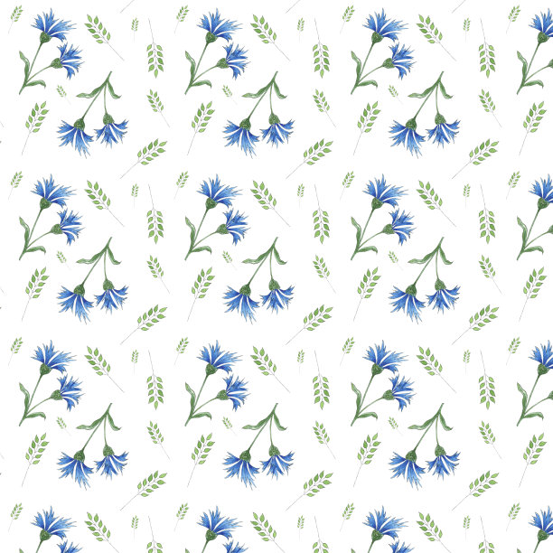 水彩无缝图案野花矢车菊，白底树叶，手绘植物风格，适合度假、婚礼等设计。数码纸包装装饰包装，卡片，马克杯图片下载