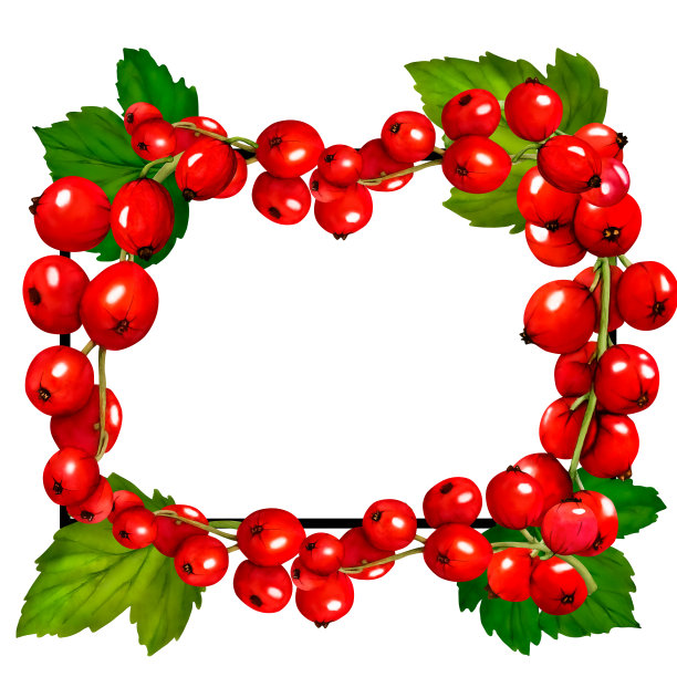 水彩框架的红色成熟的醋栗浆果孤立在白色背景。手绘植物插图。剪贴艺术浆果树枝框架。洋红色万岁。图片下载