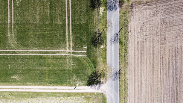 乡村道路和田野的鸟瞰图图片下载