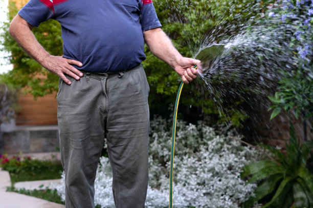 老人在花园里给植物浇水。近距离拍摄一个无法辨认的人图片下载