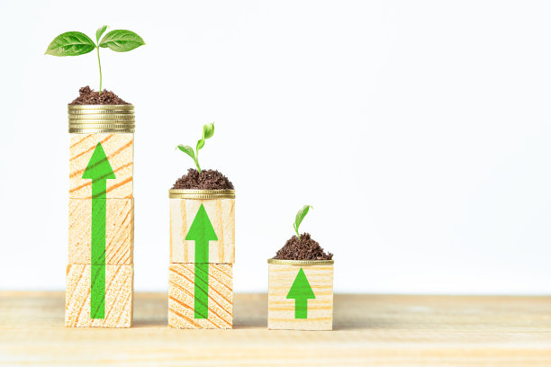 带有树苗和硬币的木制立方体图片下载