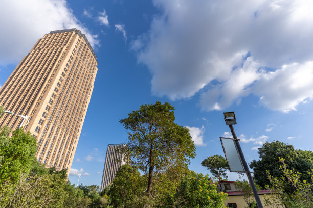 蓝天白云下的绿树与城市建筑图片下载