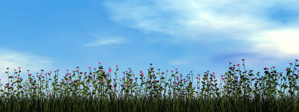 草中的金色雏菊- 3D渲染图片下载