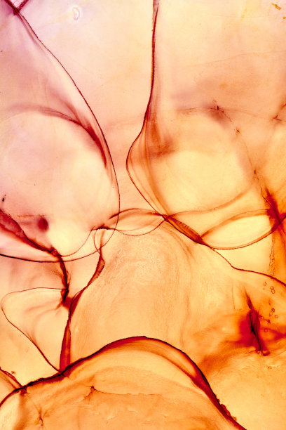 酒精油墨涂料浇注。白色背景上孤立的流动艺术抽象花朵。图片下载