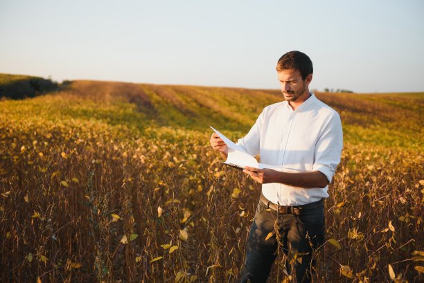 农学家正在检查农田里生长的大豆作物。农业生产理念。夏季，年轻的农学家在田间检查大豆作物。大豆田里的农民图片下载