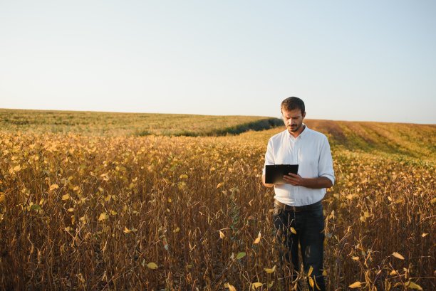 年轻的农民在大豆地里图片下载