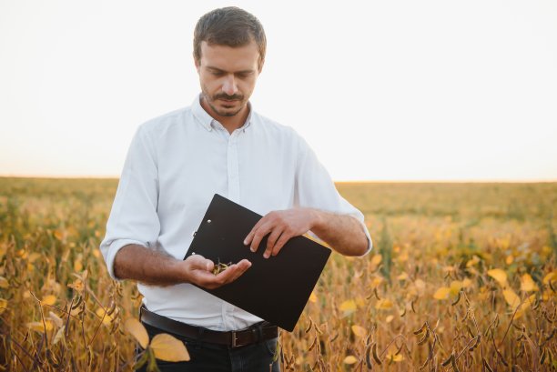 农学家正在检查农田里生长的大豆作物。农业生产理念。夏季，年轻的农学家在田间检查大豆作物。大豆田里的农民图片下载