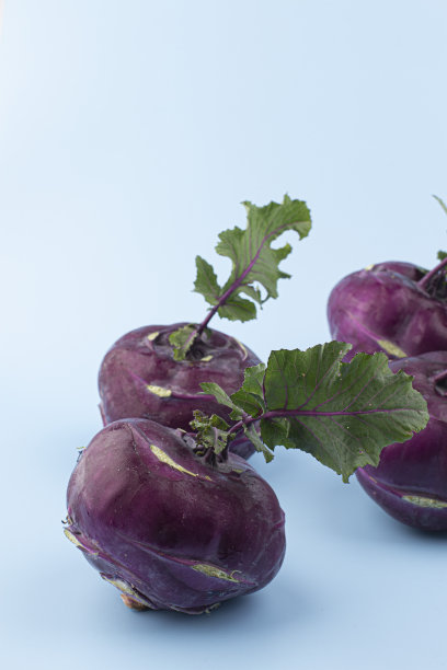 离体叶的紫甘蓝图片下载