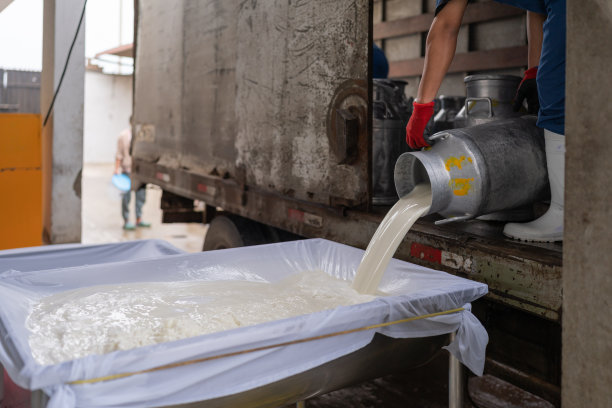 在一家乳制品加工厂，一位不知名的工人正在把牛奶倒进一个容器里图片下载