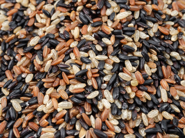 彩色大米背景图片下载