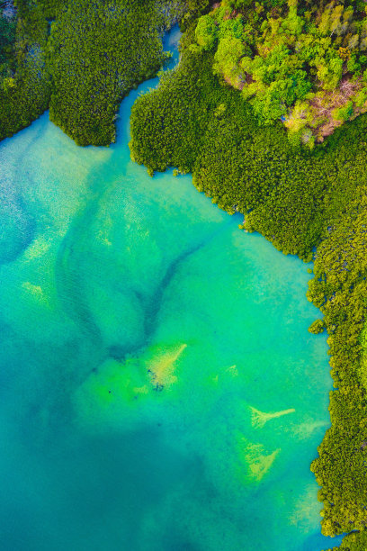 香港的海滩景色图片下载
