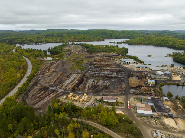 在安大略湖的木材场，加拿大，北美图片下载