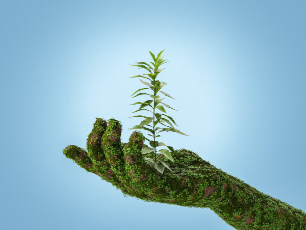 植物生长在手工制作的绿色地面上图片下载