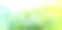 蒲公英种子与露珠在绿色的花园图片下载