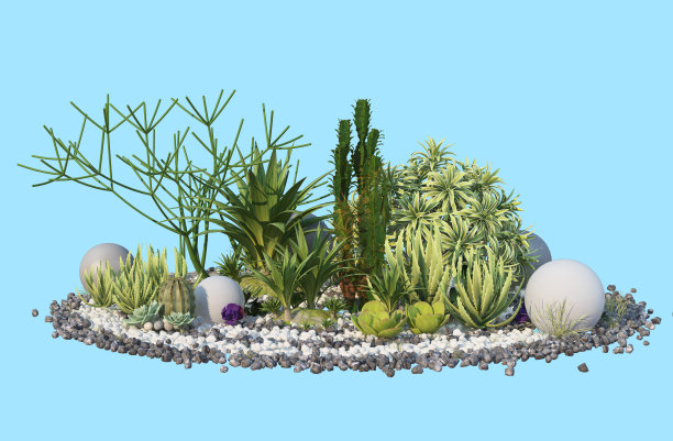 3d渲染仙人掌花园的蓝色背景图片下载