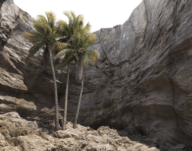 3D渲染岩石悬崖与树和草在白色背景图片下载
