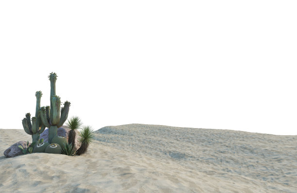 白色背景上的仙人掌花园3d渲染图片下载