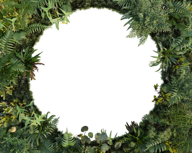 在白色背景上装饰热带植物的3D渲染框架图片下载