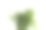 一束绿草孤立在白色背景。图片下载
